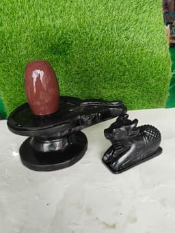 Authentic Shivling high quality for home sacred for puja - Bakawa Narmada Shivling photo gallery